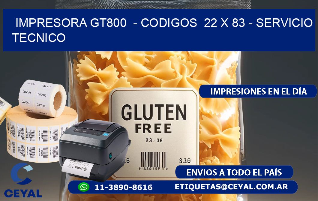 IMPRESORA GT800 - CODIGOS 22 x 83 - SERVICIO TECNICO