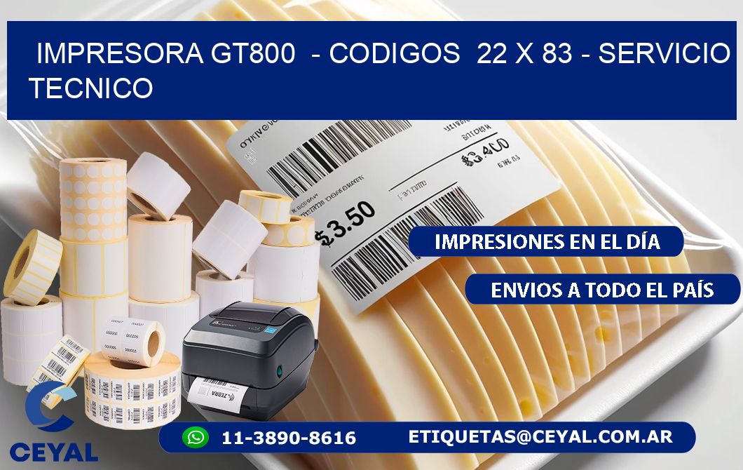 IMPRESORA GT800  – CODIGOS  22 x 83 – SERVICIO TECNICO