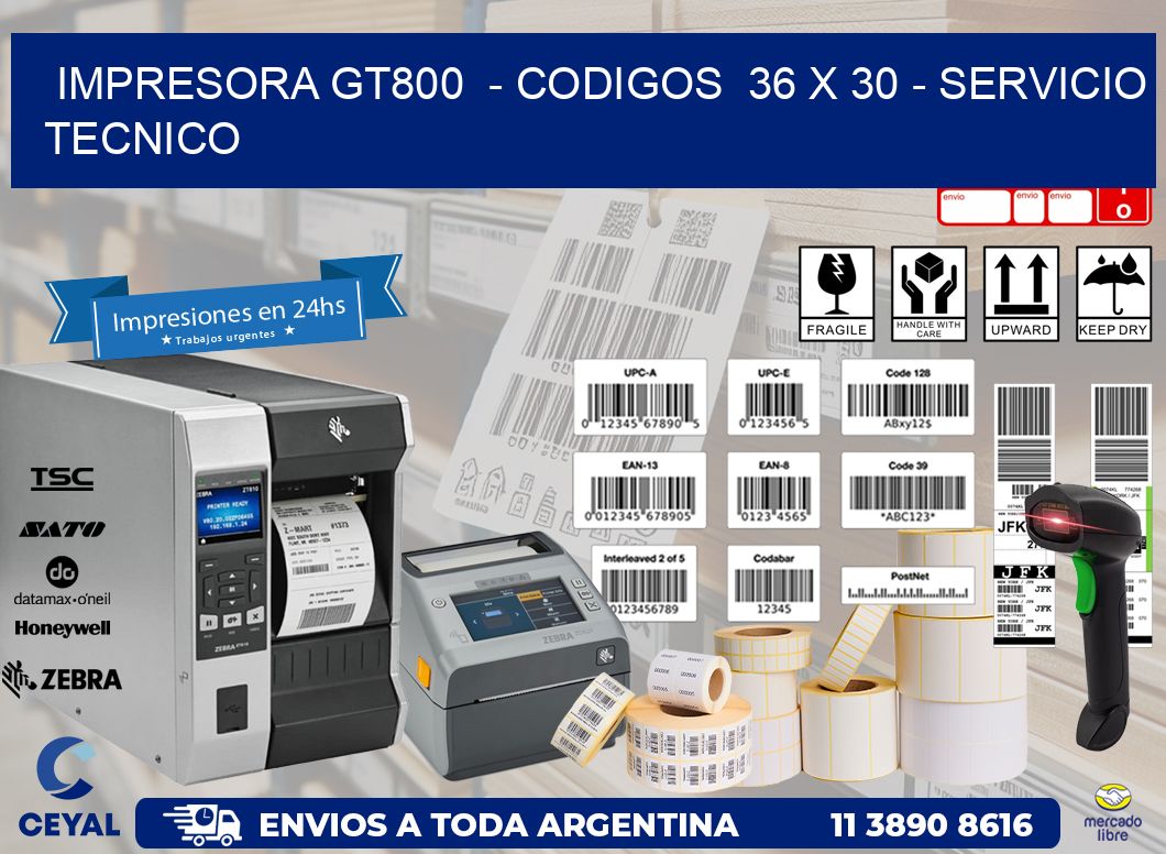 IMPRESORA GT800  - CODIGOS  36 x 30 - SERVICIO TECNICO