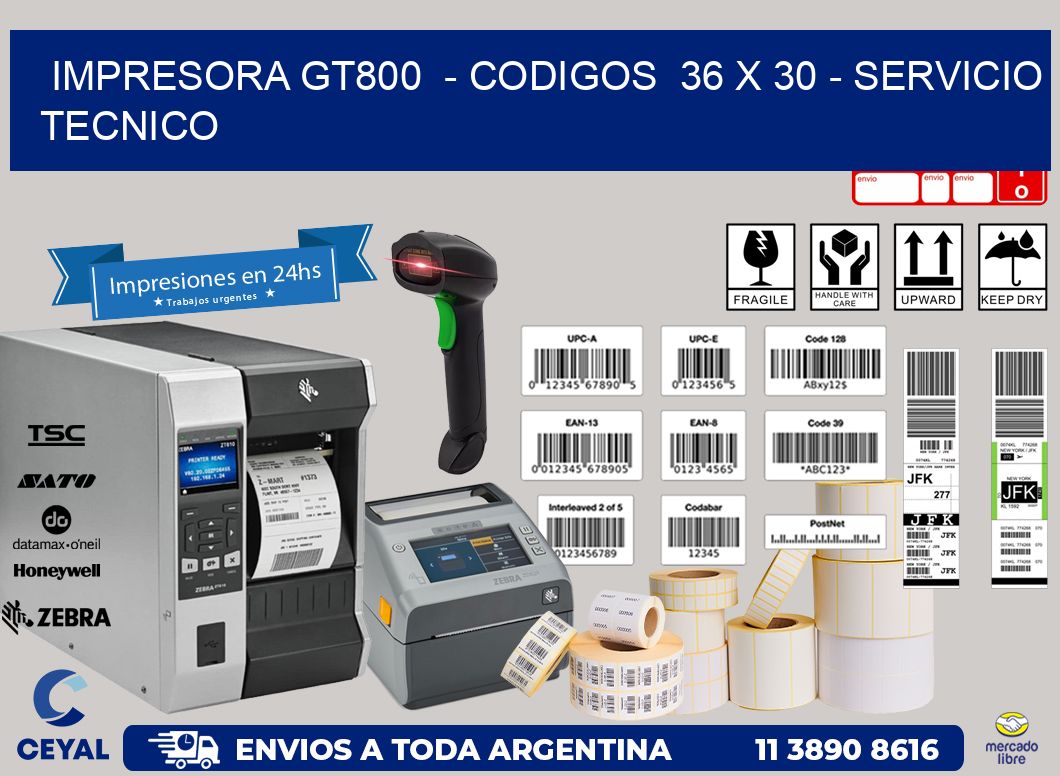 IMPRESORA GT800  – CODIGOS  36 x 30 – SERVICIO TECNICO