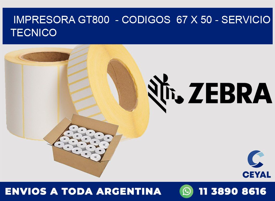 IMPRESORA GT800 - CODIGOS 67 x 50 - SERVICIO TECNICO