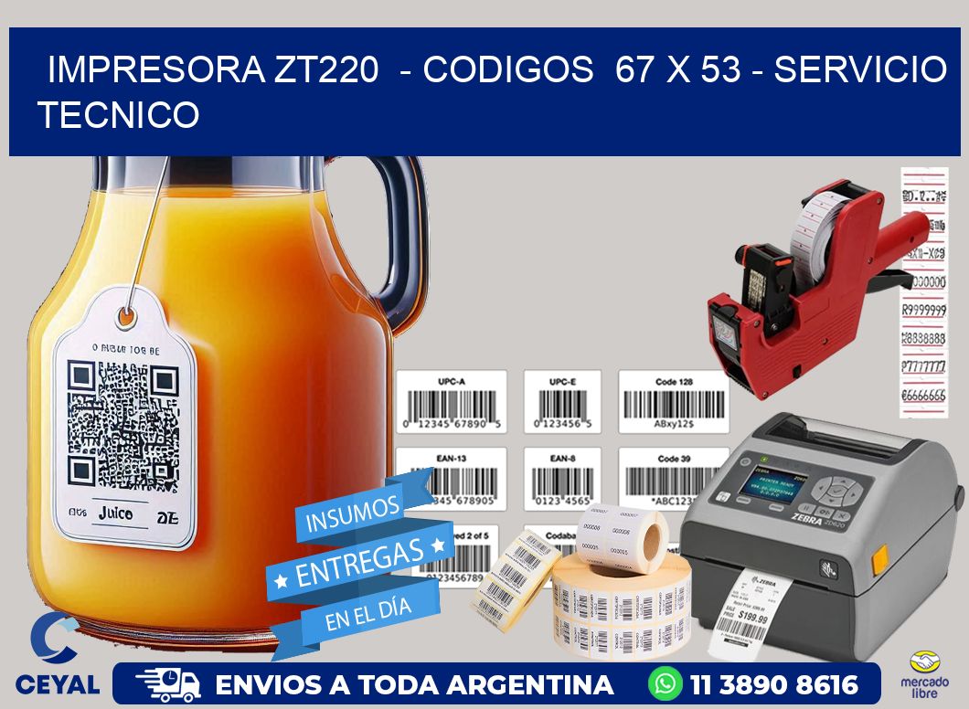 IMPRESORA ZT220 - CODIGOS 67 x 53 - SERVICIO TECNICO