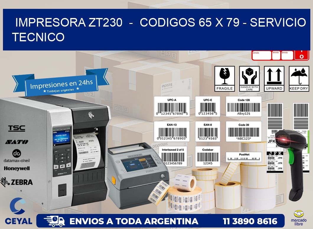 IMPRESORA ZT230 - CODIGOS 65 x 79 - SERVICIO TECNICO
