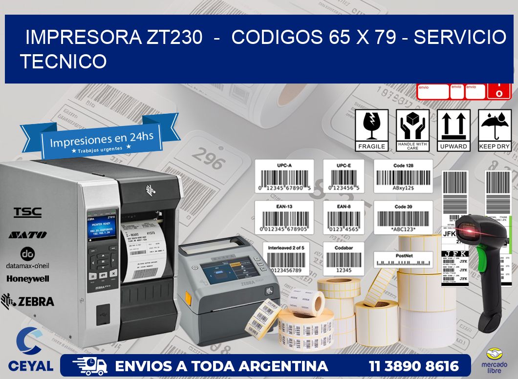 IMPRESORA ZT230 - CODIGOS 65 x 79 - SERVICIO TECNICO