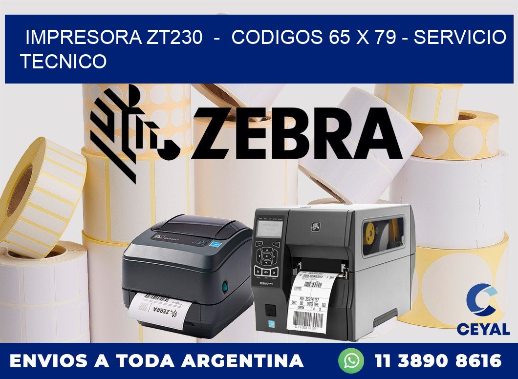 IMPRESORA ZT230 - CODIGOS 65 x 79 - SERVICIO TECNICO