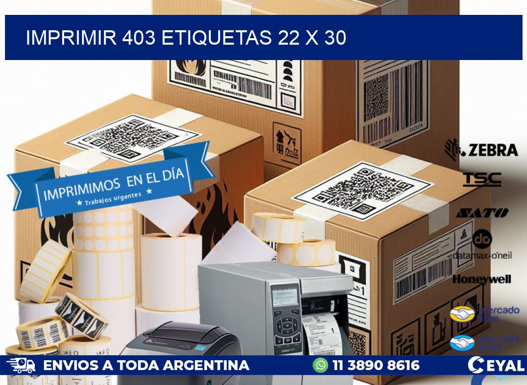 IMPRIMIR 403 ETIQUETAS 22 x 30