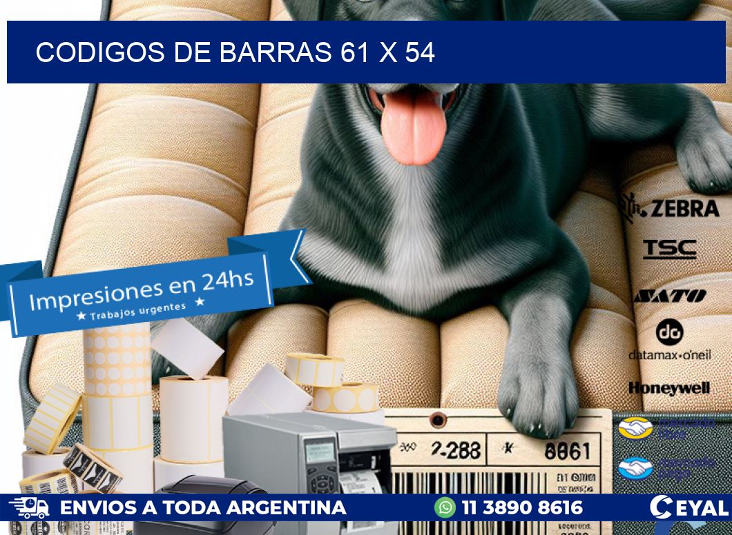 codigos de barras 61 x 54