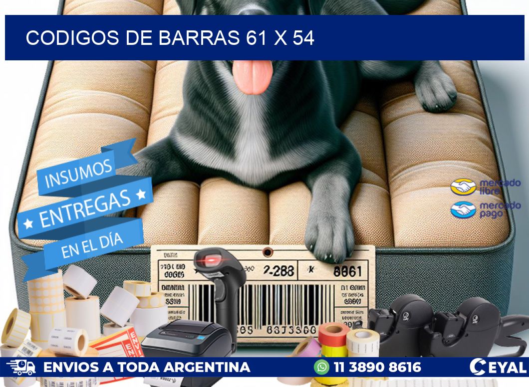 codigos de barras 61 x 54