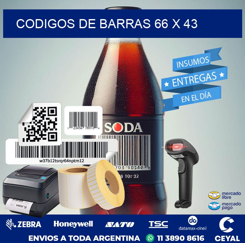codigos de barras 66 x 43
