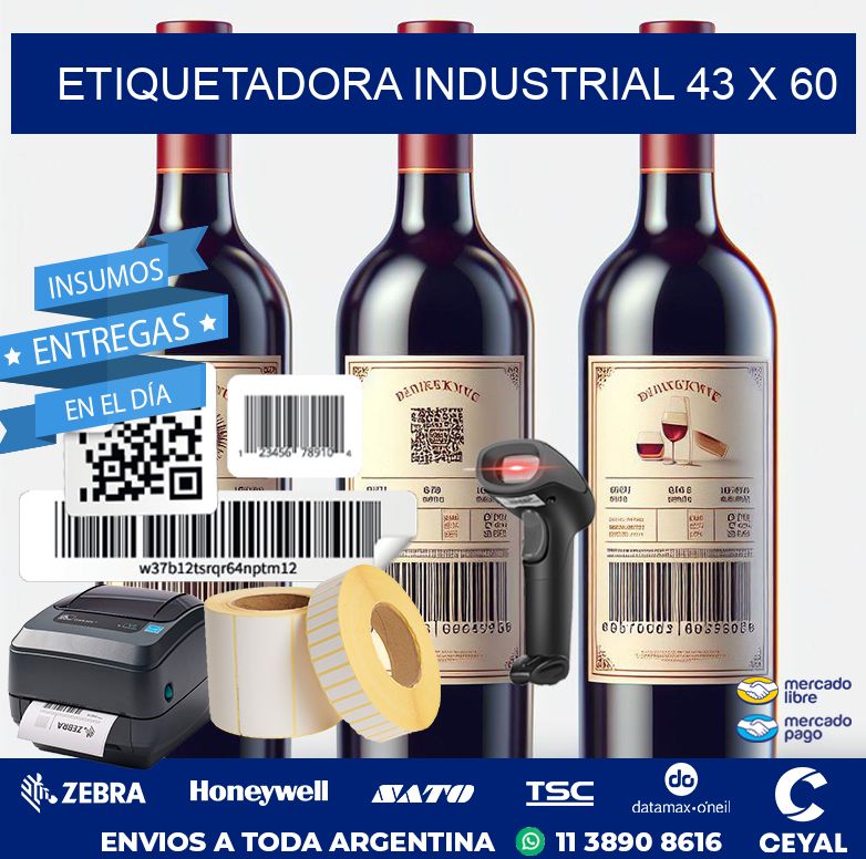 etiquetadora industrial 43 x 60