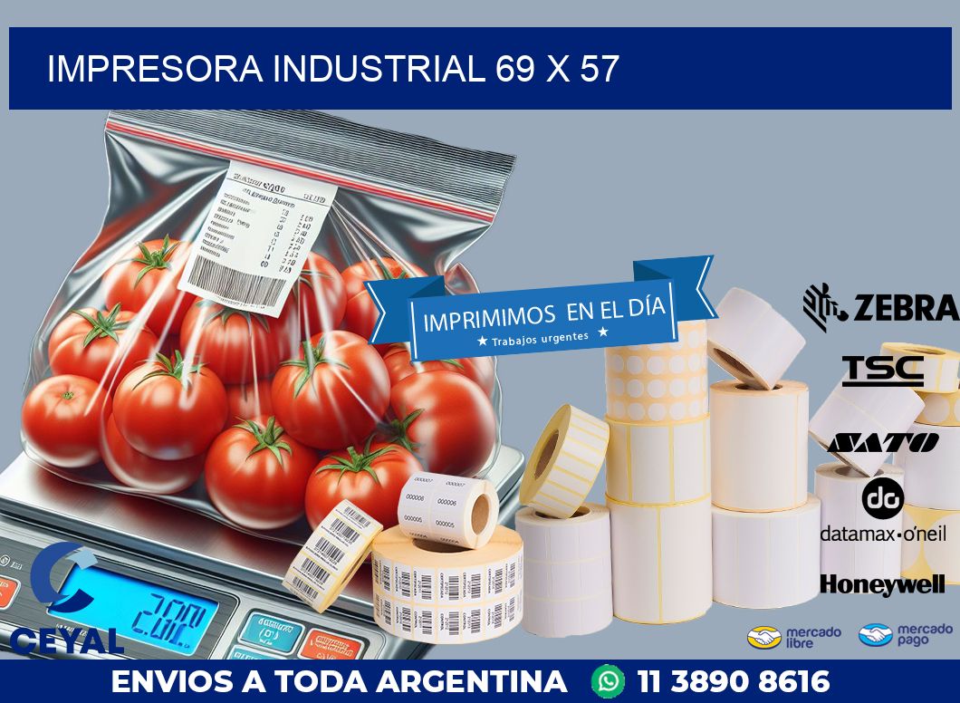 impresora industrial 69 x 57