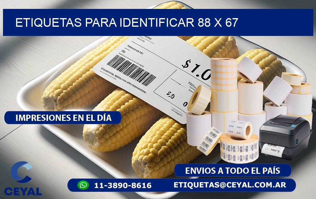 etiquetas para identificar 88 x 67