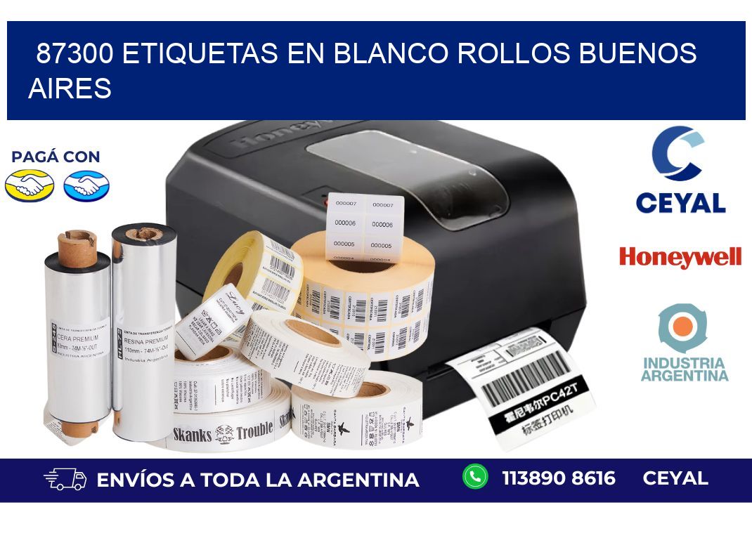87300 ETIQUETAS EN BLANCO ROLLOS BUENOS AIRES