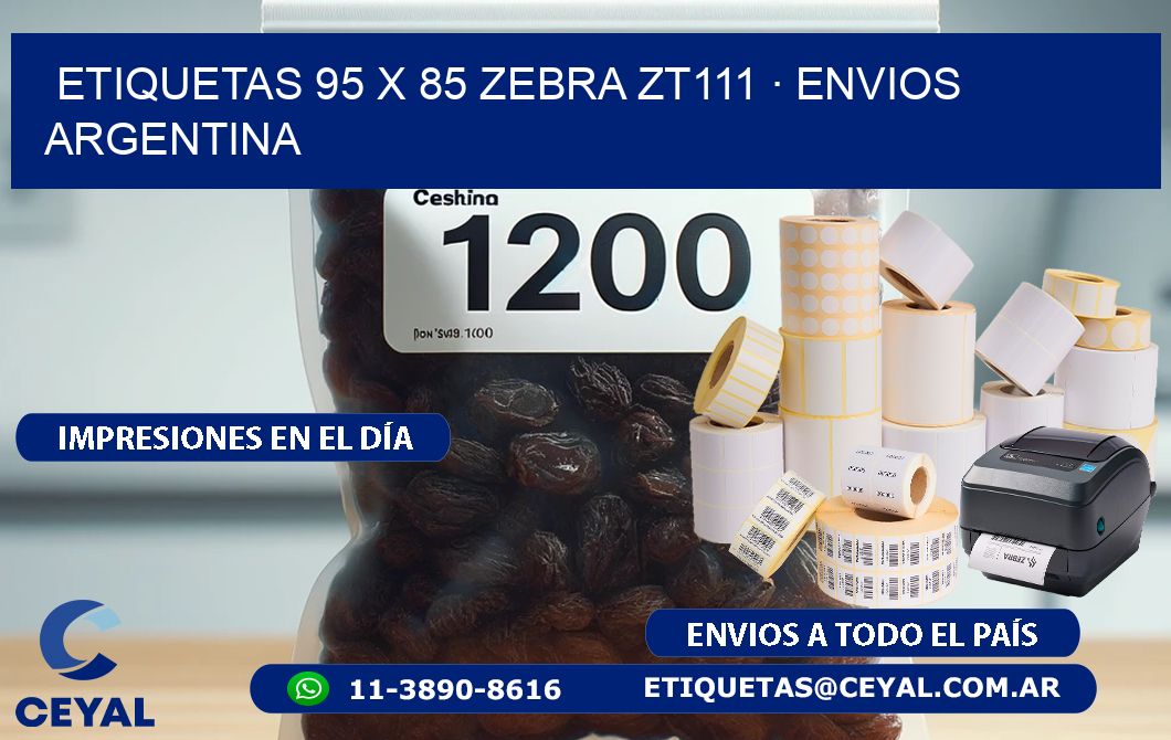 ETIQUETAS 95 x 85 ZEBRA ZT111 · ENVIOS ARGENTINA