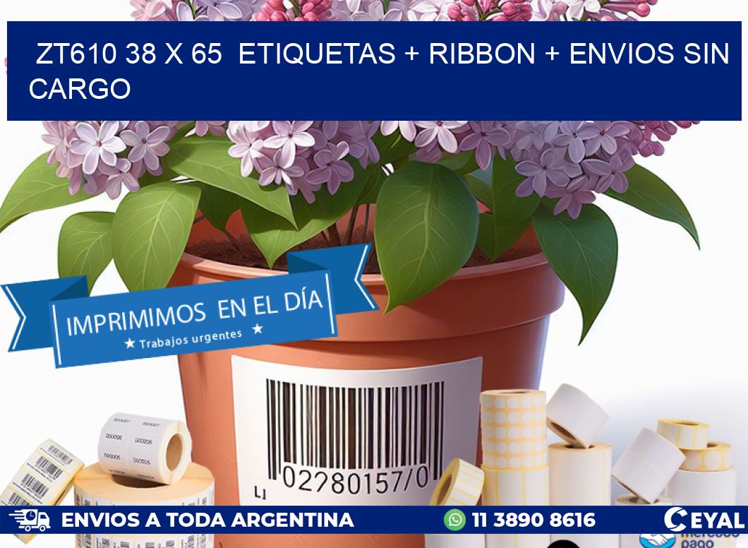 ZT610 38 x 65 etiquetas + ribbon + envios sin cargo