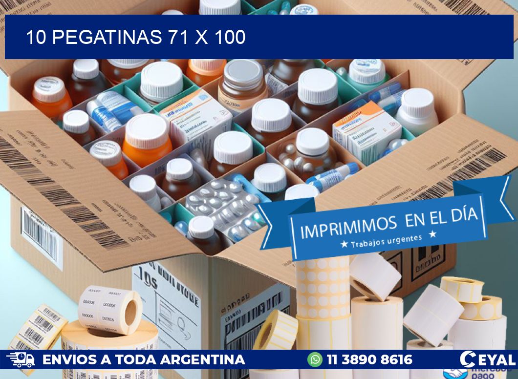 10 PEGATINAS 71 x 100