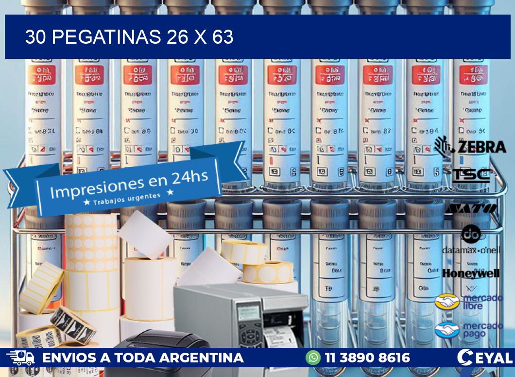 30 PEGATINAS 26 x 63