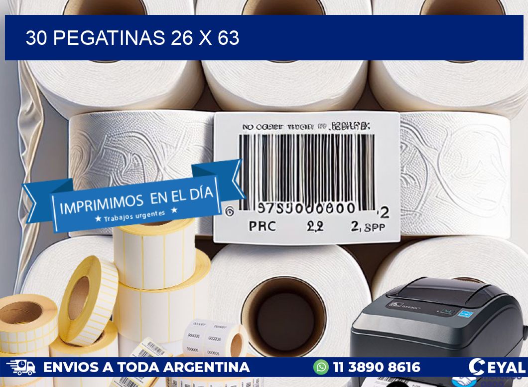 30 PEGATINAS 26 x 63