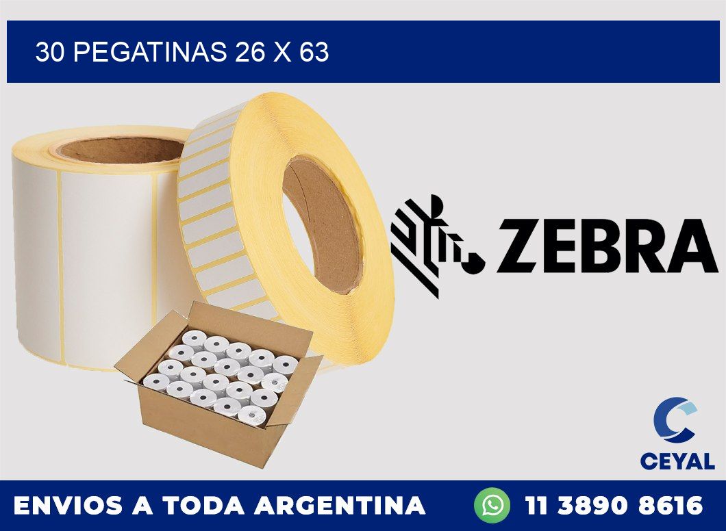 30 PEGATINAS 26 x 63