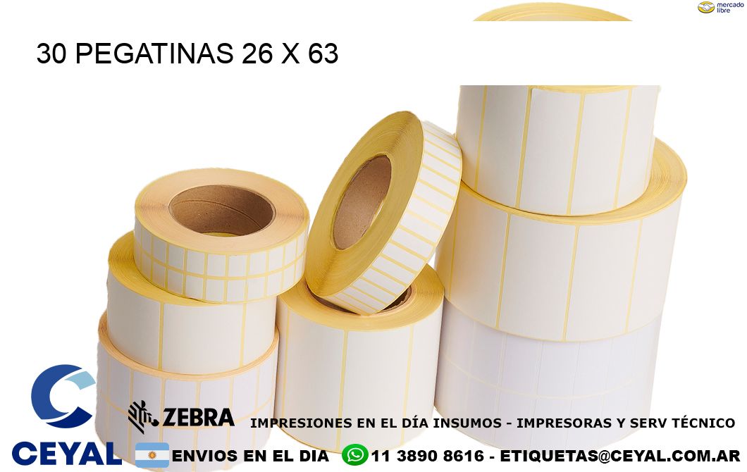 30 PEGATINAS 26 x 63