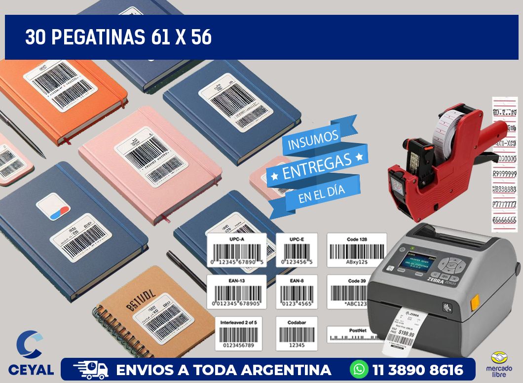 30 PEGATINAS 61 x 56