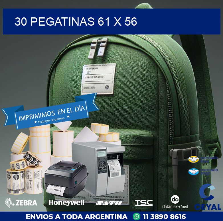 30 PEGATINAS 61 x 56