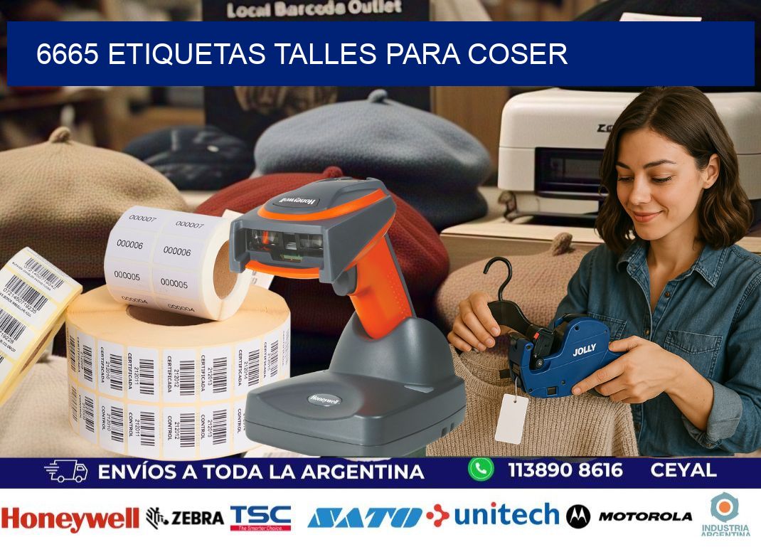 6665 ETIQUETAS TALLES PARA COSER