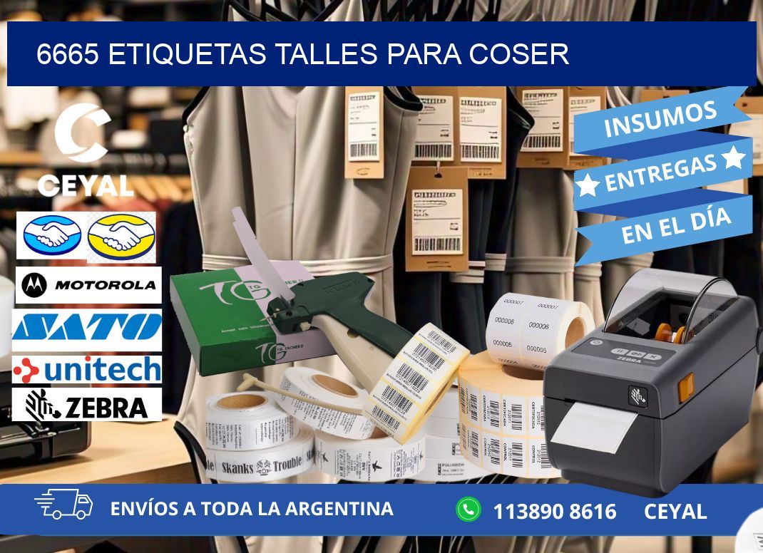 6665 ETIQUETAS TALLES PARA COSER