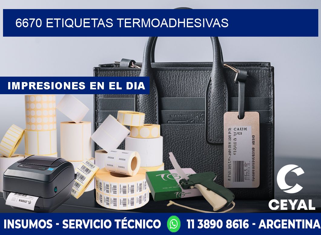 6670 etiquetas termoadhesivas