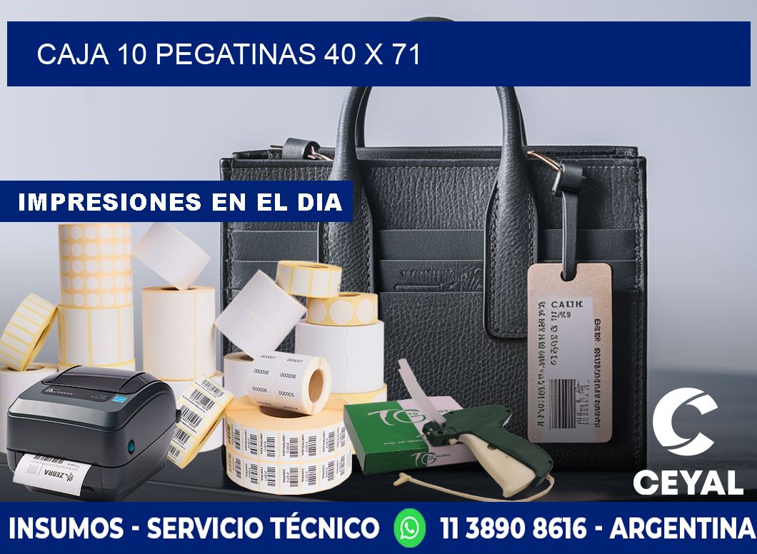 CAJA 10 PEGATINAS 40 x 71