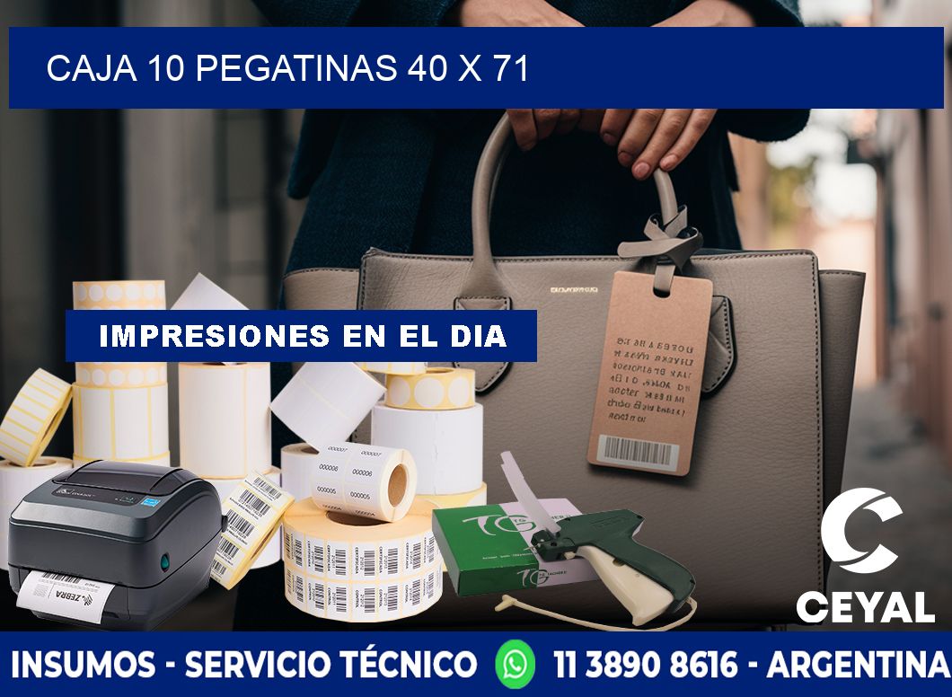 CAJA 10 PEGATINAS 40 x 71