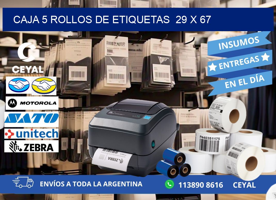CAJA 5 ROLLOS DE ETIQUETAS  29 x 67