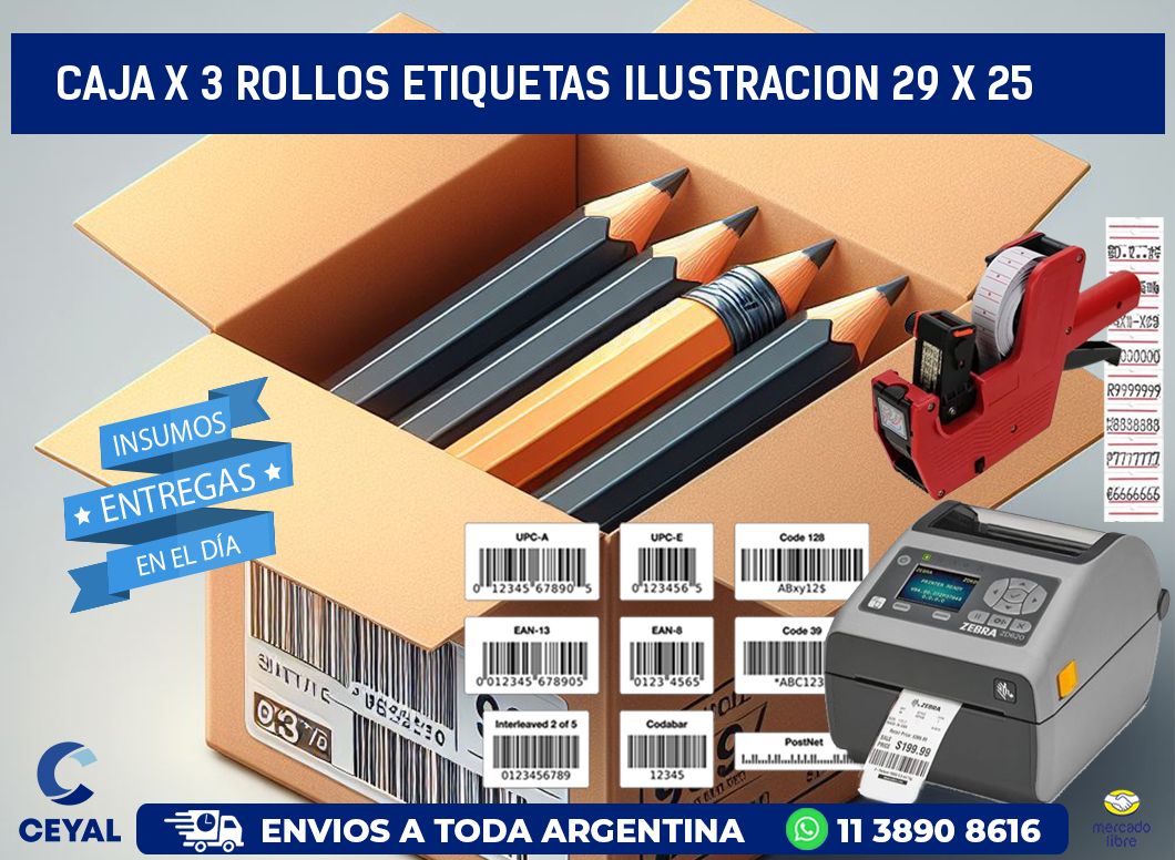 Caja X 3 Rollos Etiquetas Ilustracion 29 x 25