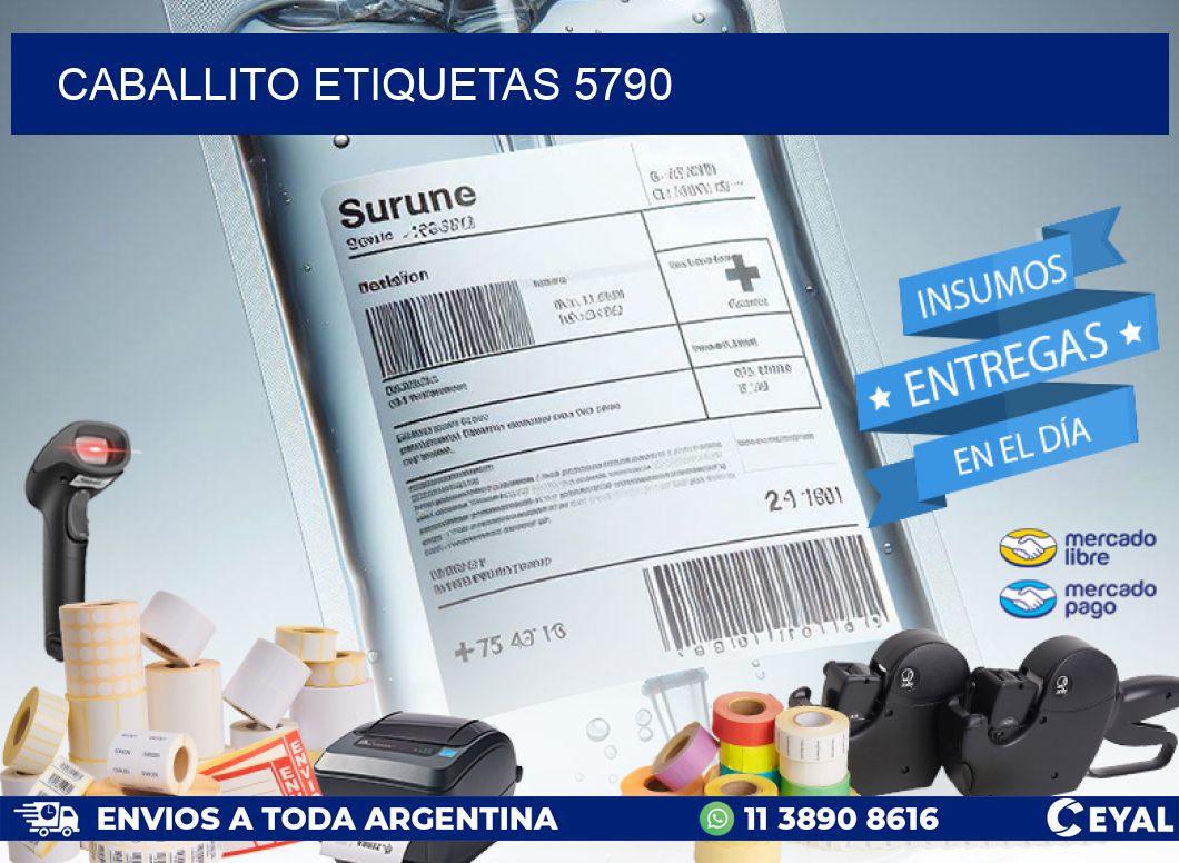 Caballito etiquetas 5790