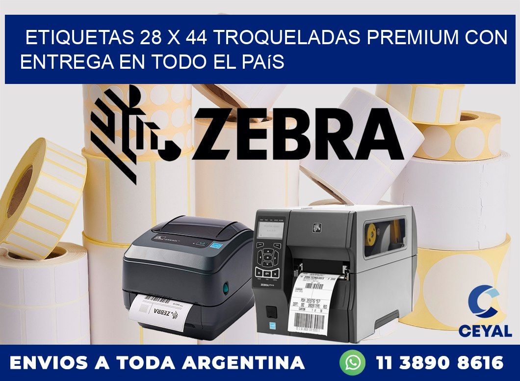 Etiquetas 28 x 44 troqueladas premium con entrega en todo el país
