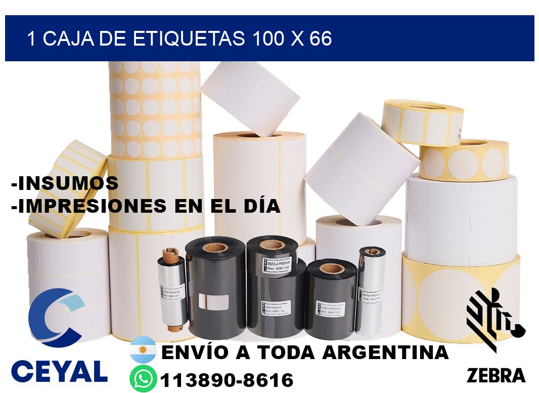 1 caja de etiquetas 100 x 66
