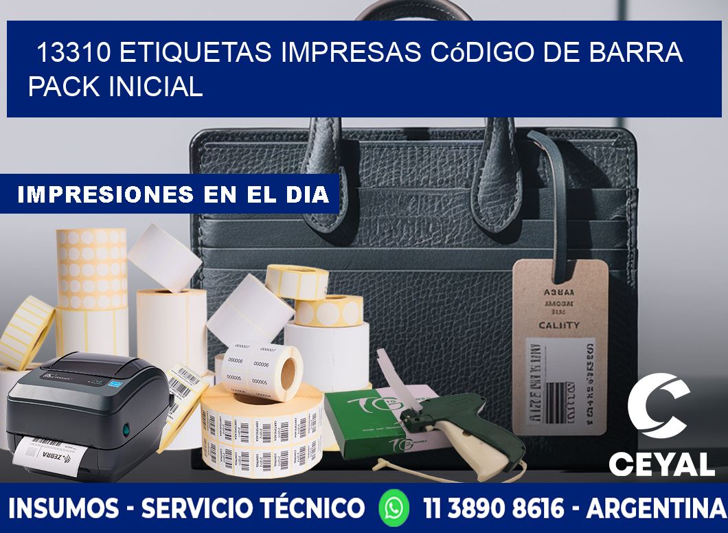 13310 Etiquetas Impresas código De Barra Pack Inicial