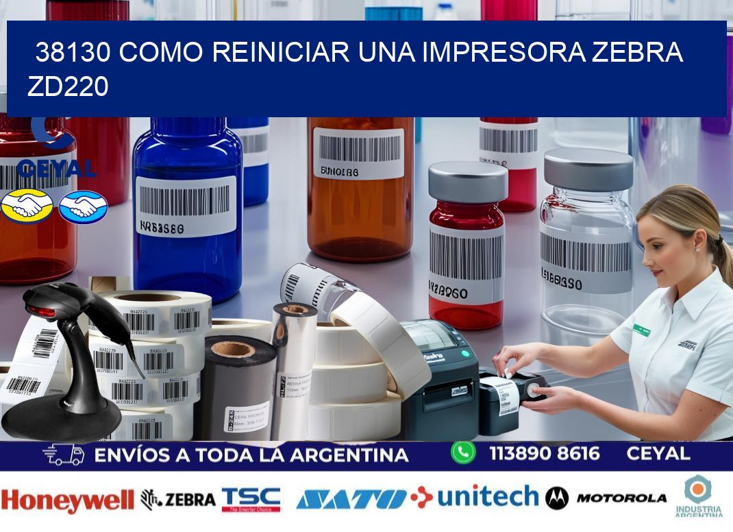 38130 Como reiniciar una impresora Zebra ZD220