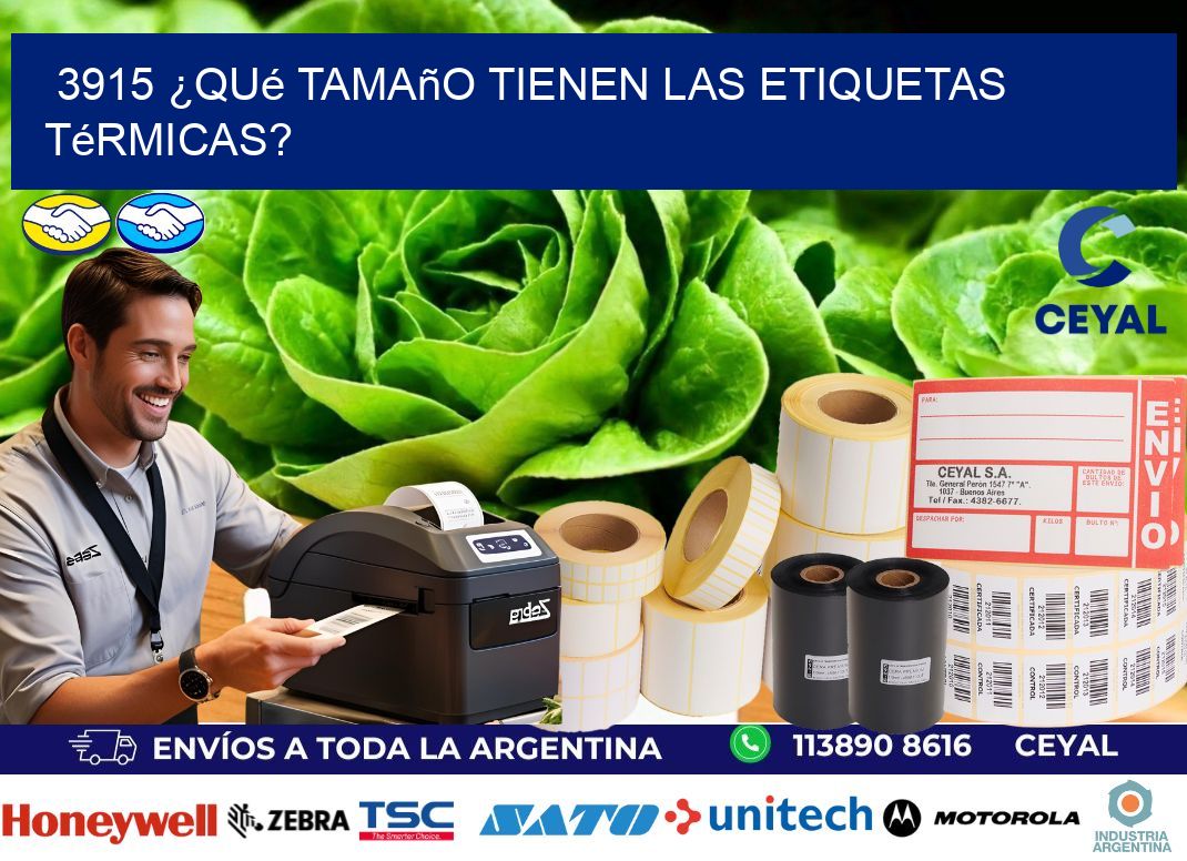 3915 ¿Qué tamaño tienen las etiquetas térmicas?