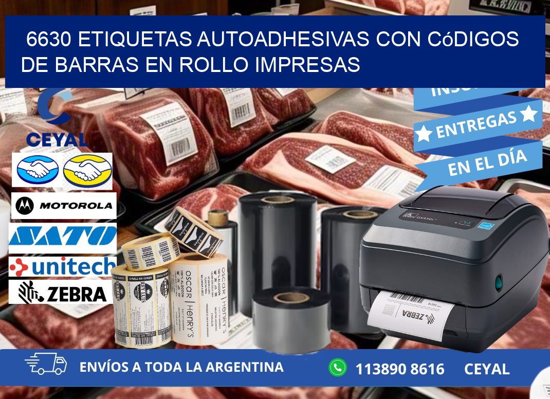 6630 Etiquetas autoadhesivas con códigos de barras en rollo impresas