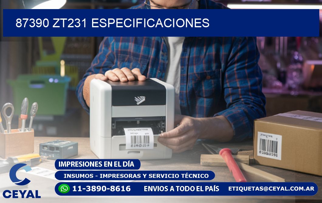 87390 ZT231 especificaciones