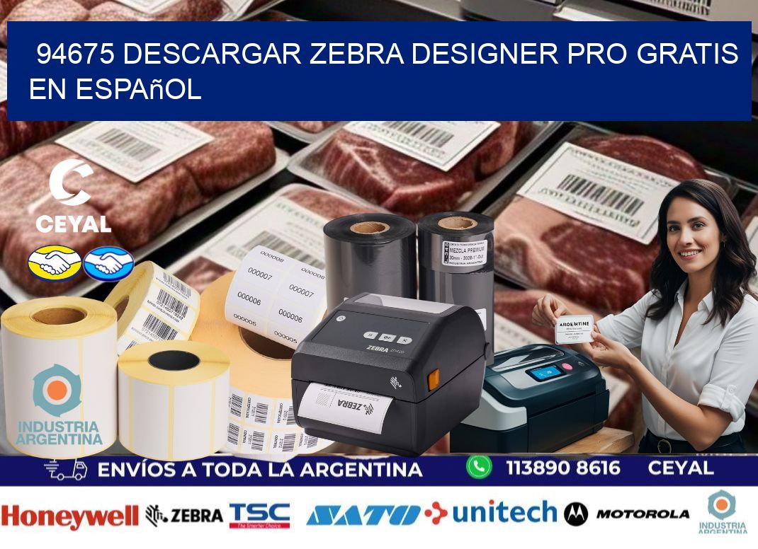 94675 Descargar Zebra Designer Pro gratis en Español