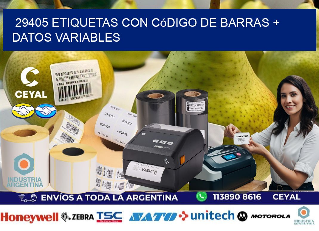 29405 etiquetas con código de barras + datos variables
