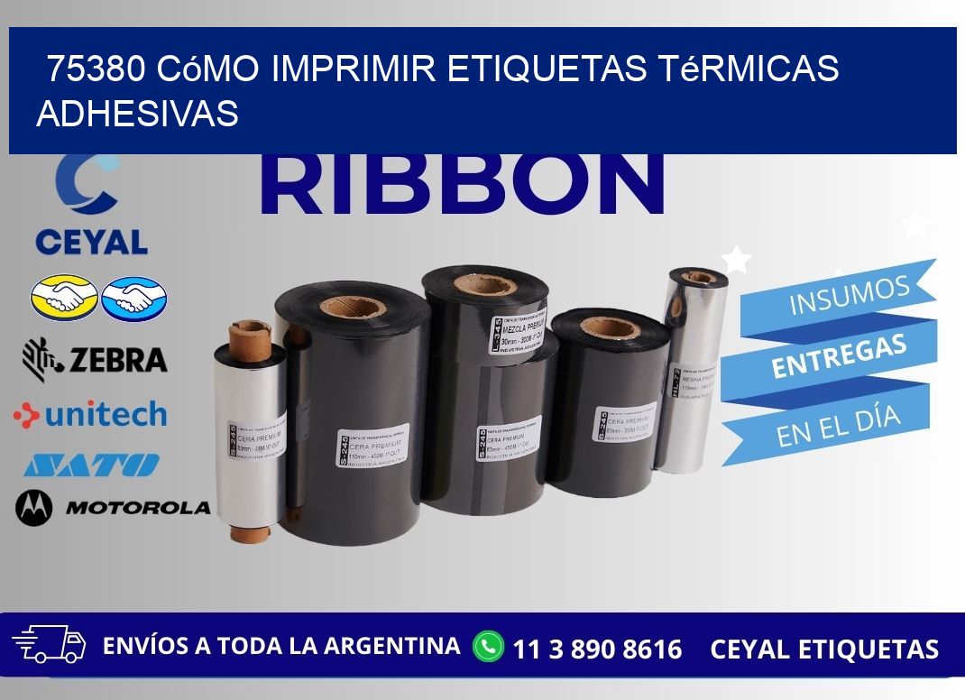 75380 cómo imprimir etiquetas térmicas adhesivas