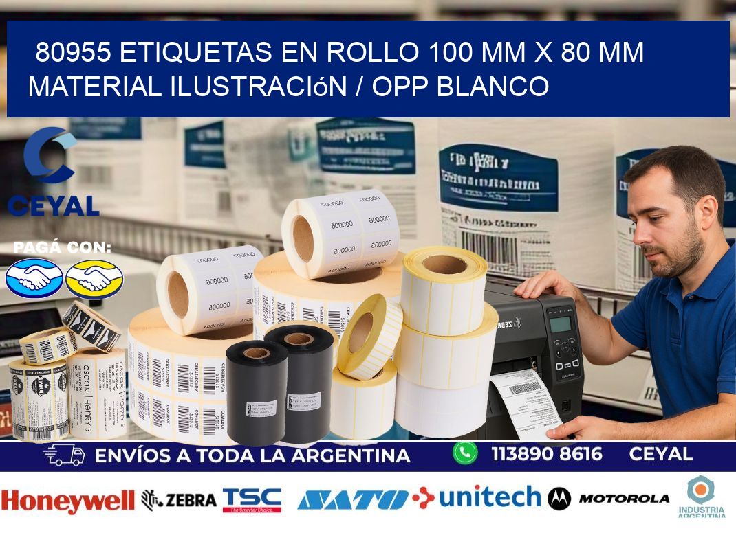 80955 Etiquetas en rollo 100 mm x 80 mm material Ilustración / OPP Blanco