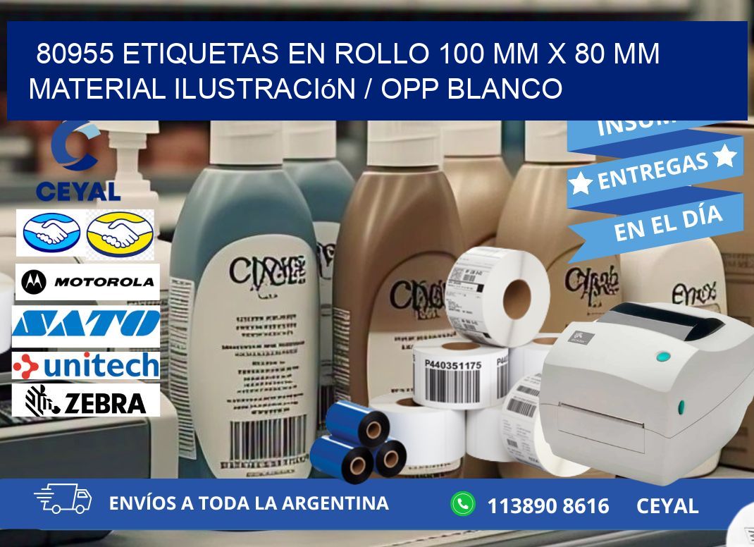 80955 Etiquetas en rollo 100 mm x 80 mm material Ilustración / OPP Blanco