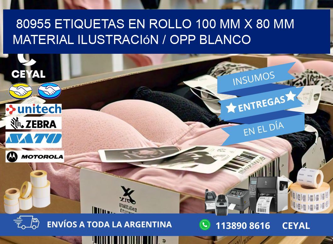 80955 Etiquetas en rollo 100 mm x 80 mm material Ilustración / OPP Blanco