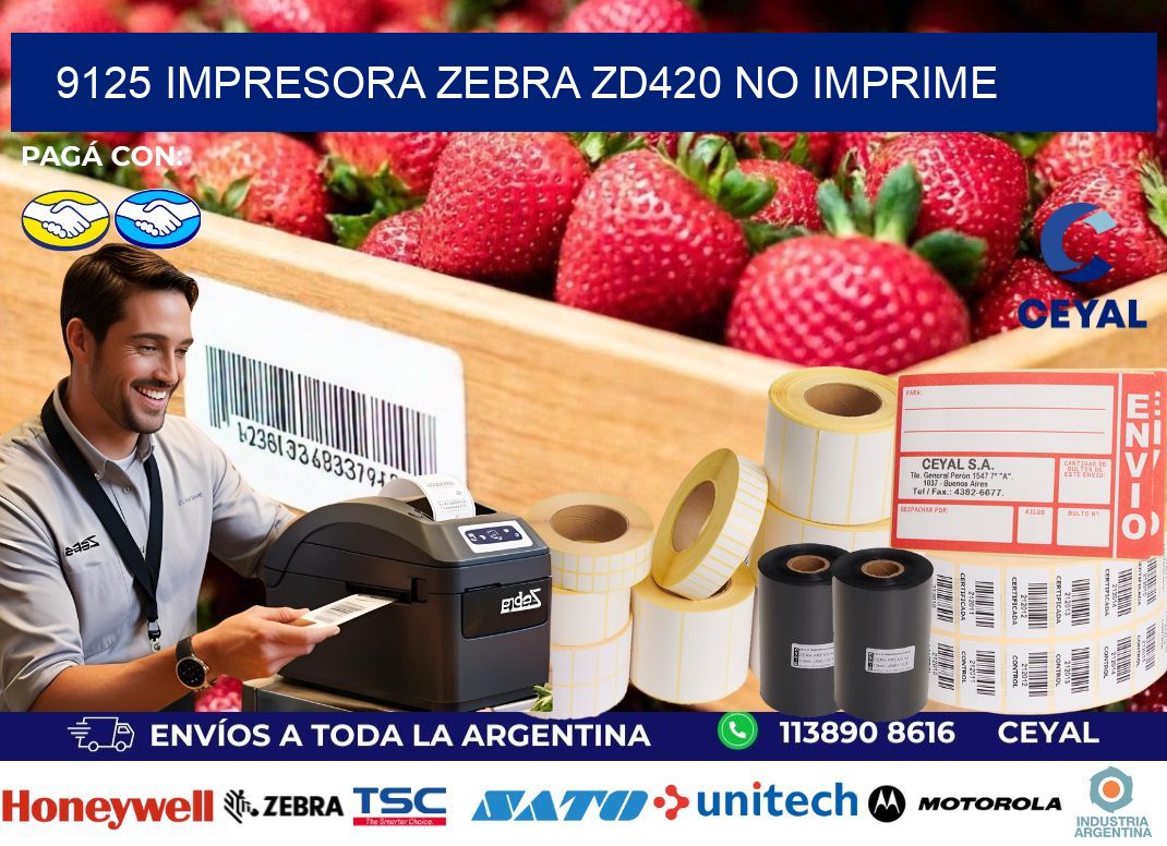 9125 Impresora Zebra ZD420 no imprime