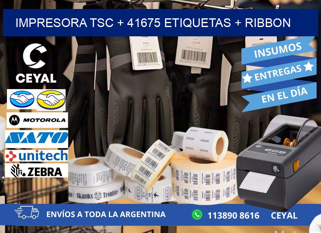 impresora TSC + 41675 etiquetas + ribbon