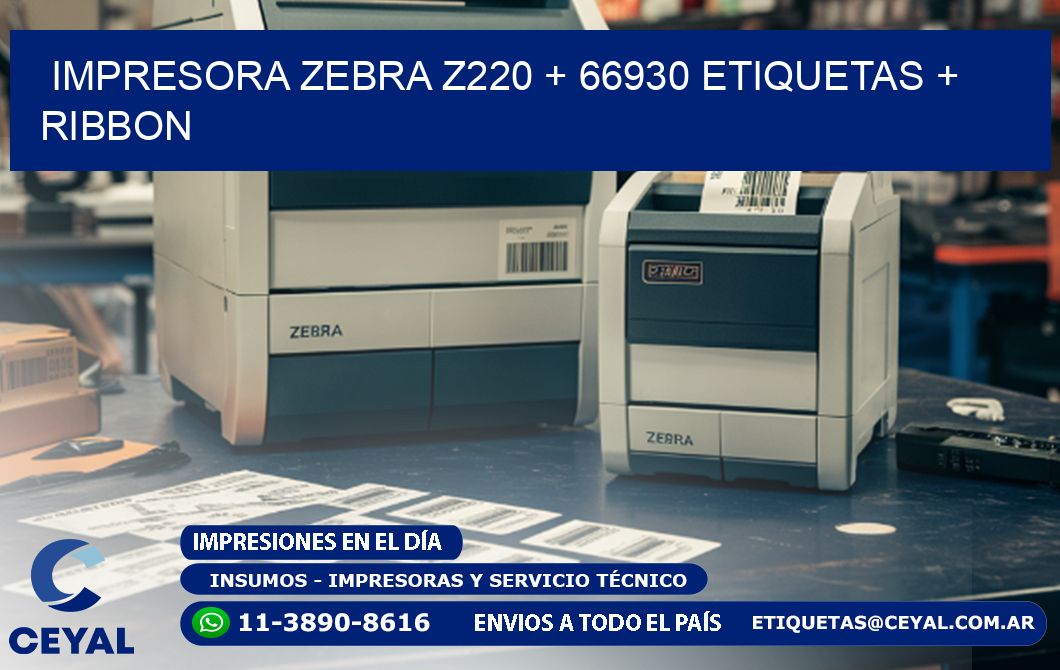 impresora zebra z220 + 66930 etiquetas + ribbon